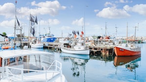 Una marina con varias embarcaciones amarradas, incluyendo un barco blanco con una zona cubierta al frente.