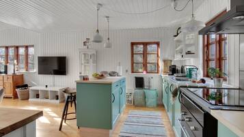 Kjøleskap, ovn, kokeplater og kaffetrakter/tekoker