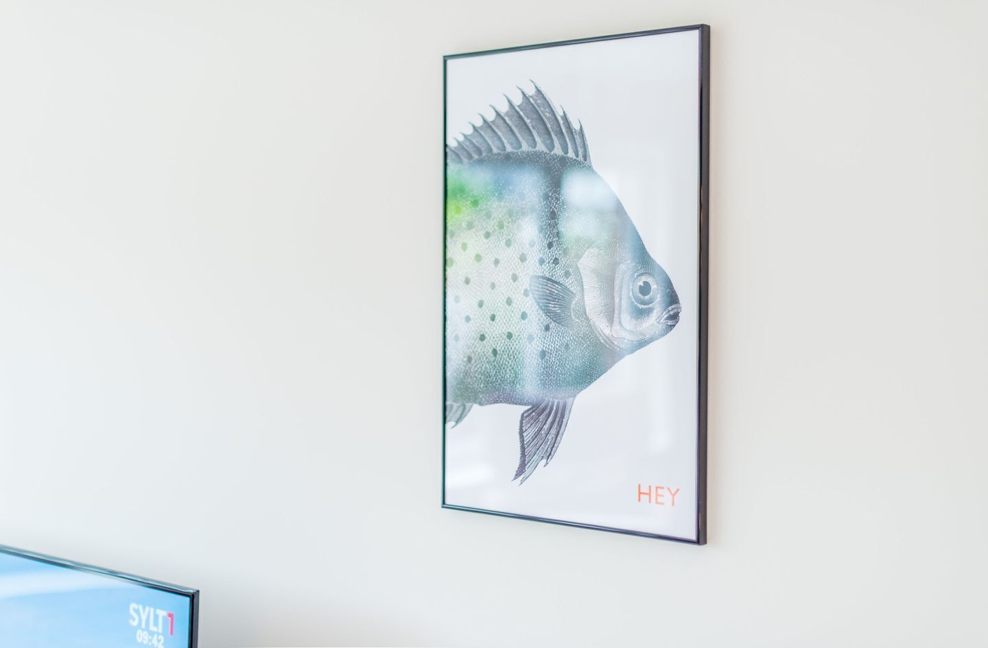 Et billede af fisk i ramme på en væg.