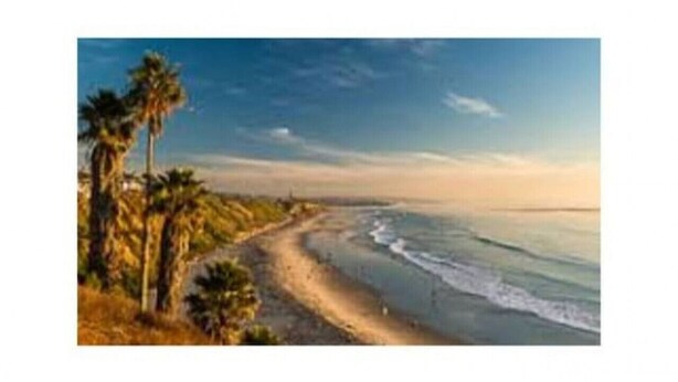 A beach with palm trees and a clear sky. - Beachy Boho located in the Heart of Encinitas (Encinitas)