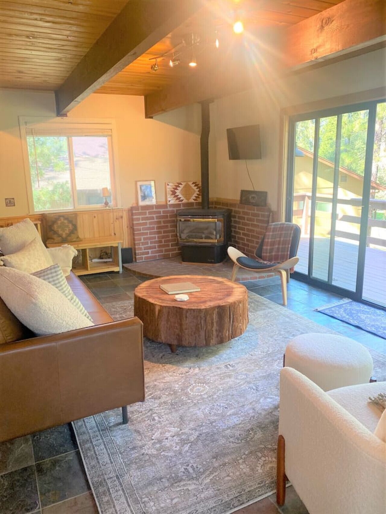 TV, fireplace, books