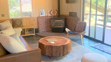 TV, fireplace, books