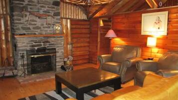 TV, fireplace, books