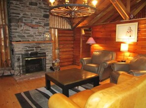 Fernseher, Kamin, Bücher