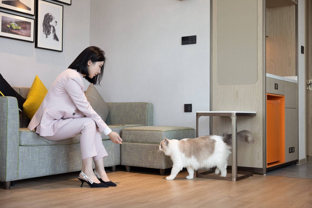 A woman in a pink suit sitting on a grey sofa with a cat on the floor.