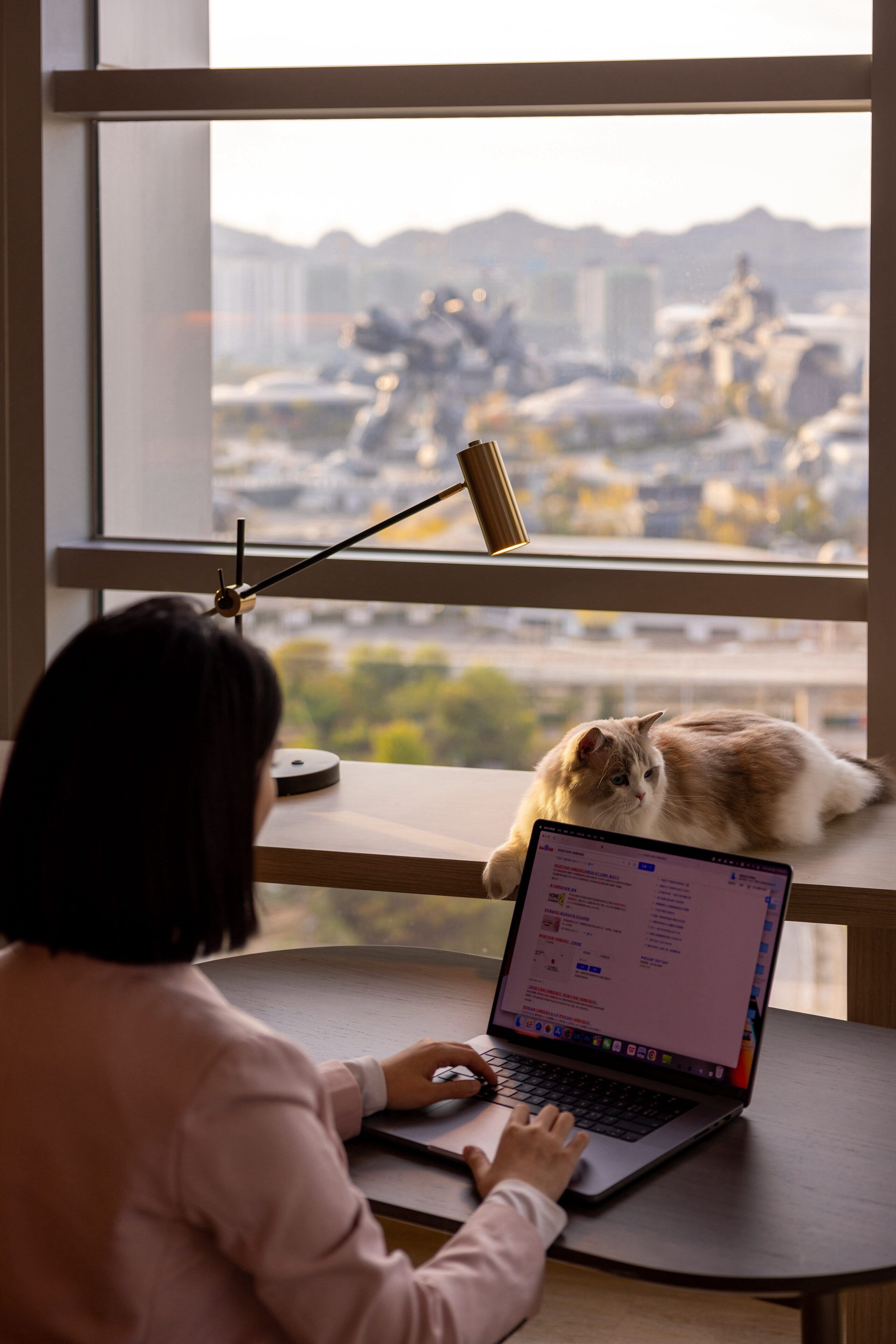 premium bedding, down duvets, select comfort beds, minibar