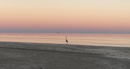 The Crystal Wave: beachfront bliss on a large land