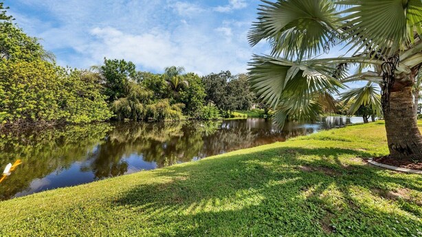 Ein ruhiger Park mit Teich, üppiger Vegetation und einer Palme.