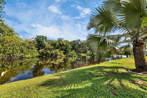 Property grounds - Luxury Private House with Pool on Charlotte Harbor Area, Charlotte County House 5818 (Charlotte County)