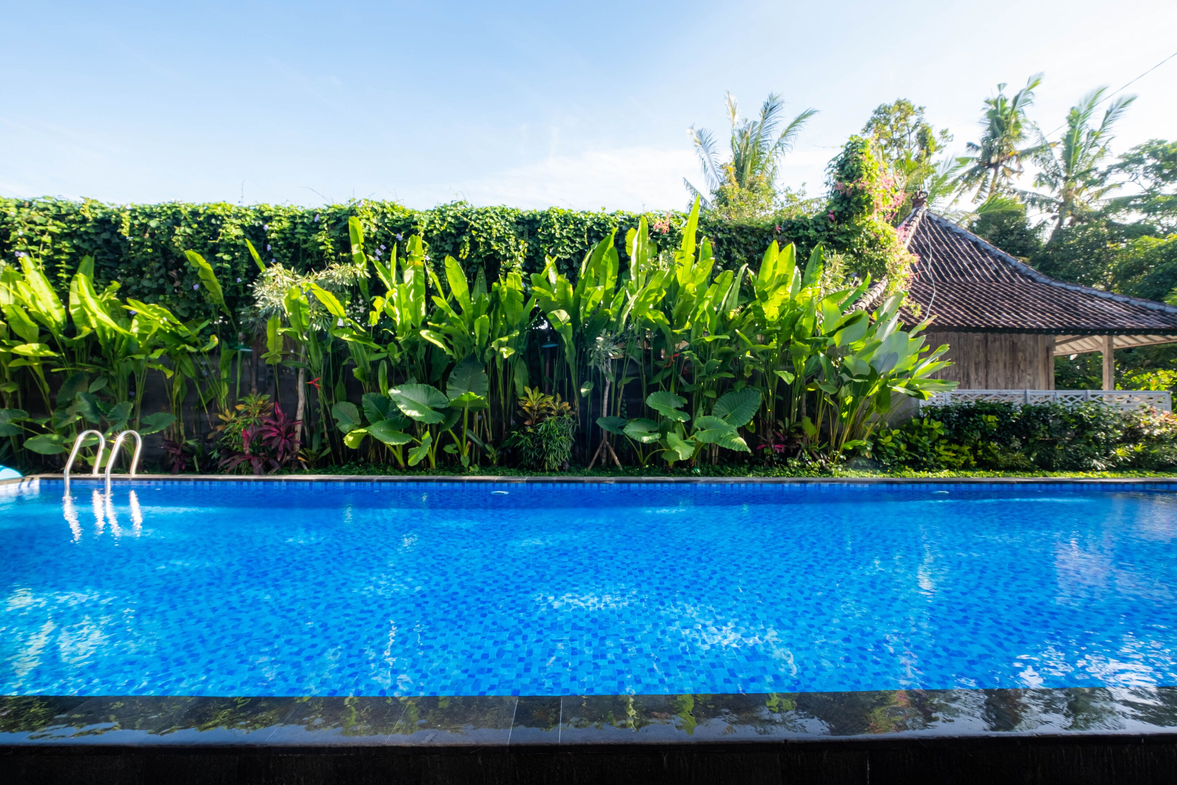A swimming pool with a tiled edge, surrounded by lush greenery and a traditional building with a tiled roof.