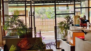 A room with a large window, a sofa, and various plants.