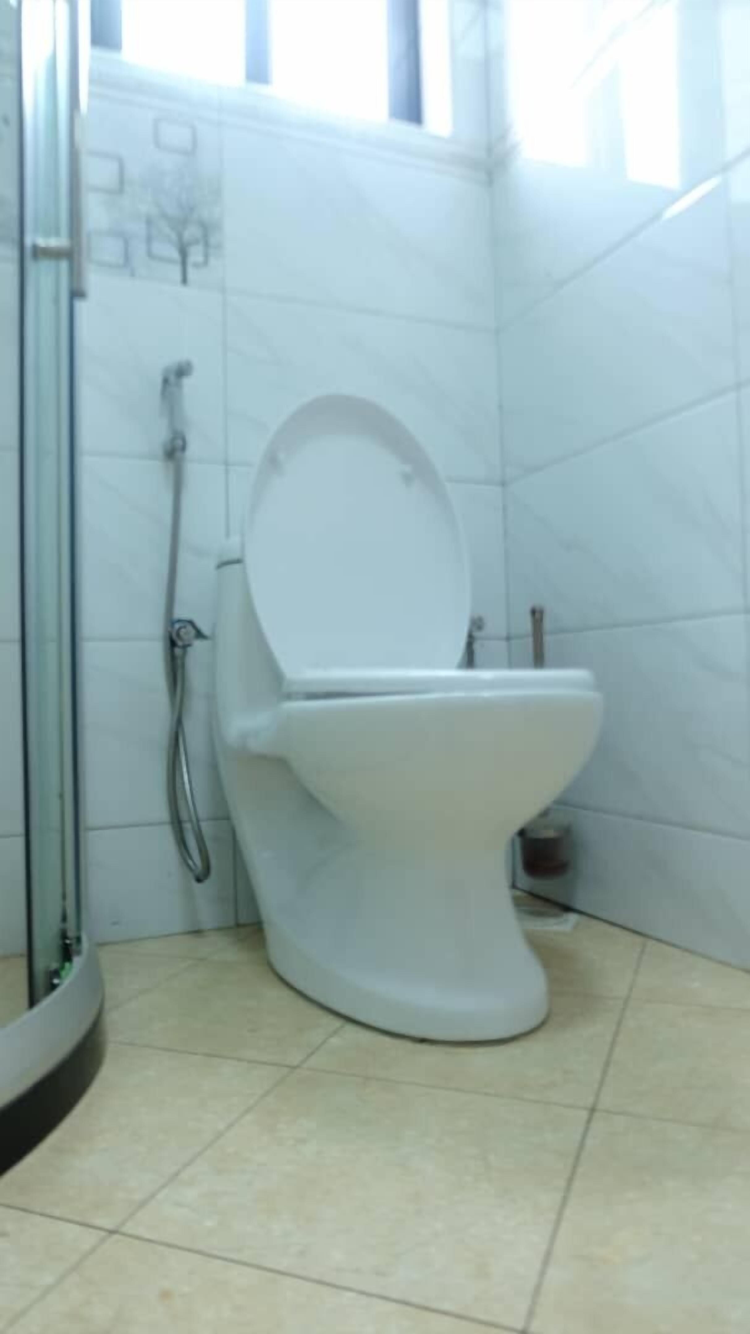 Une salle de bain comprenant des toilettes, une douche et un espace de douche délimité par des parois en verre.