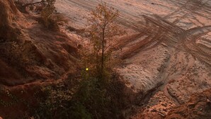 A sunset over a frozen lake with tire tracks and sparse vegetation.