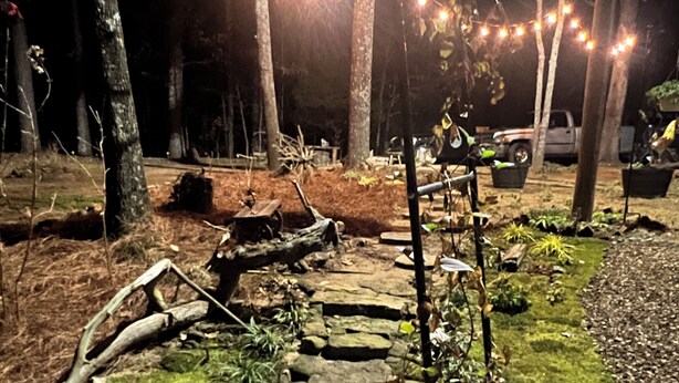A stone pathway leading through a garden with string lights overhead.