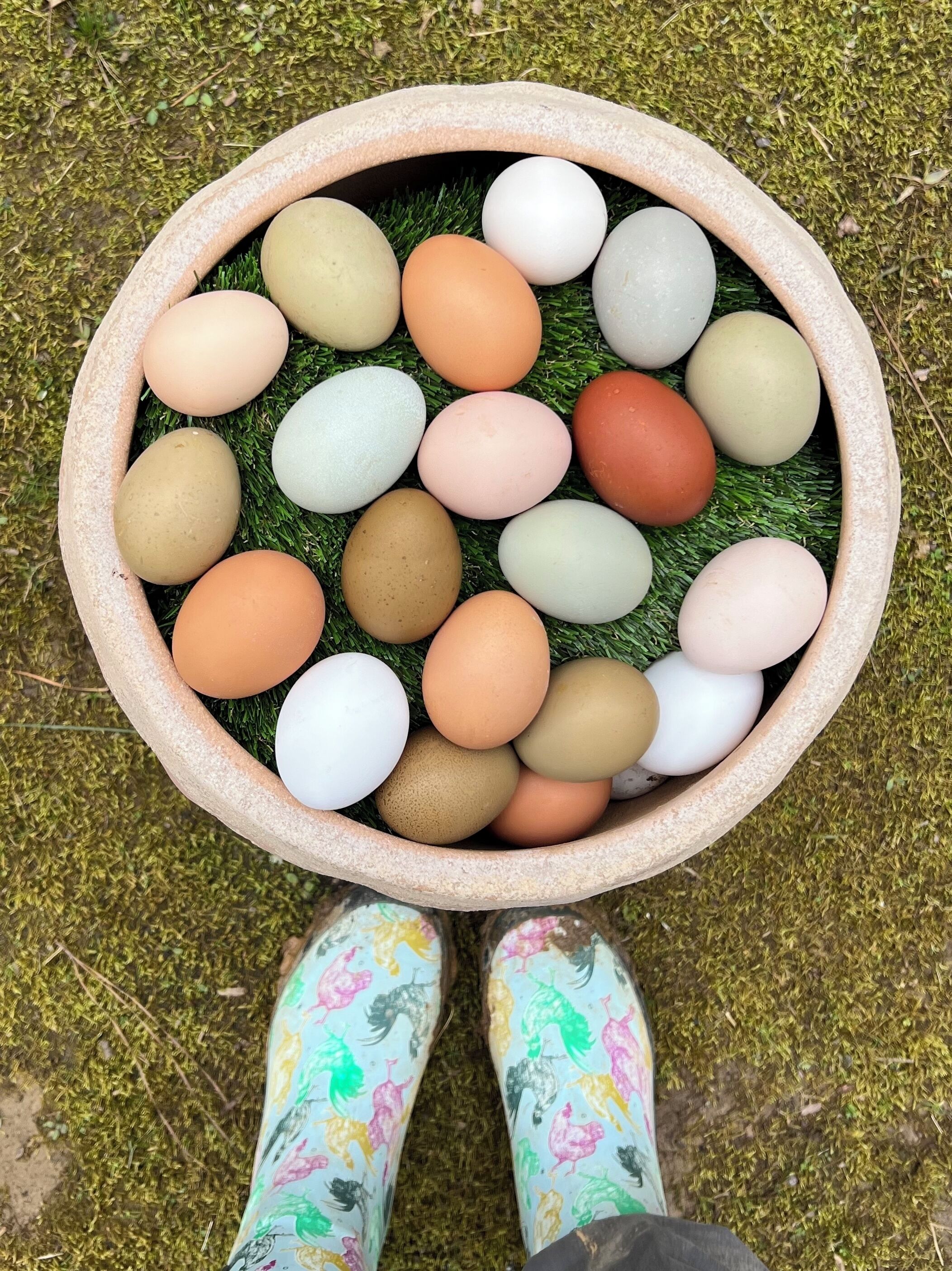 A ceramic bowl filled with colorful eggs placed on a grassy surface.