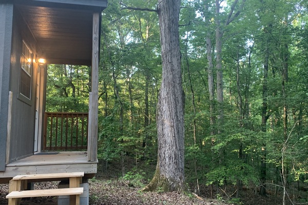 Front Porch view