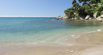 Studio Climatisé Proches Plages des Bonnettes & Monaco