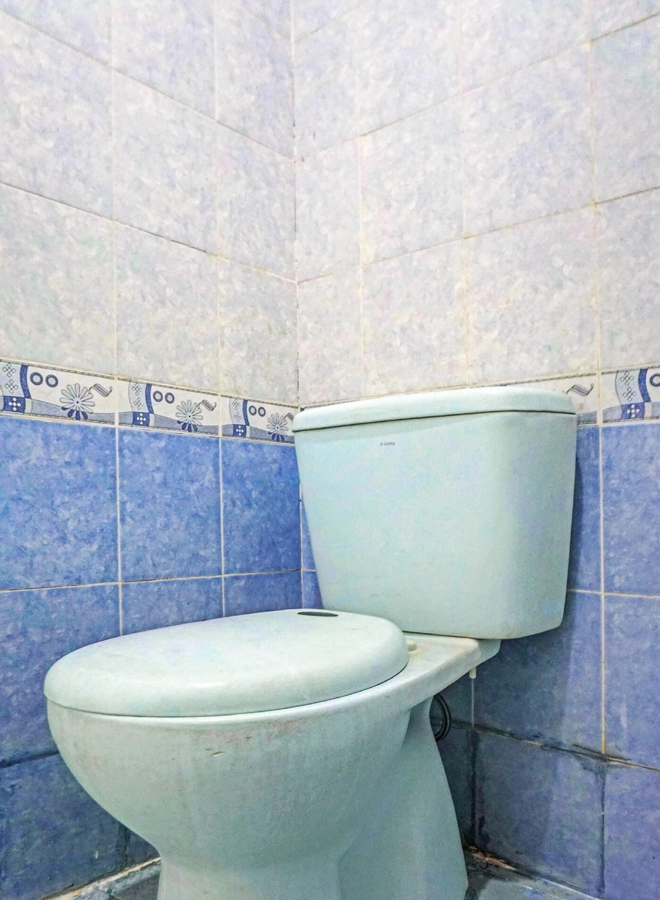 A toilet with a white seat and tank, set against a wall with blue tiles and a decorative border.