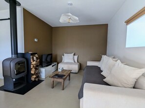Un salon moderne avec une cheminée, un canapé et un téléviseur.