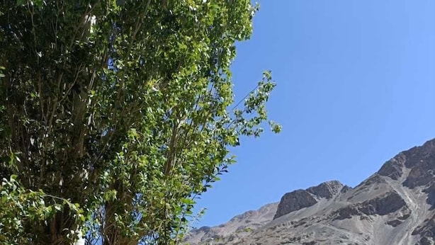 A garden with a stone pathway, vibrant flowers, and a wooden archway. - Hotel The Stone Palace (Leh)