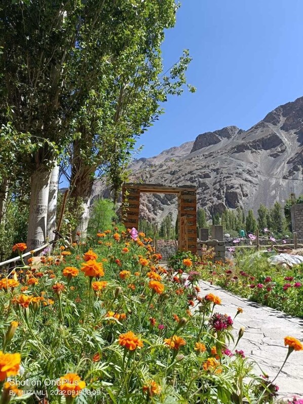 Pemandangan dari hartanah