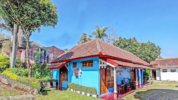 Vườn