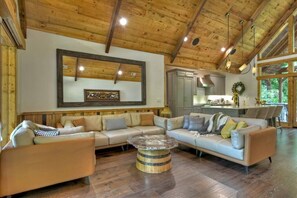 Televisor, llar de foc i oficines 