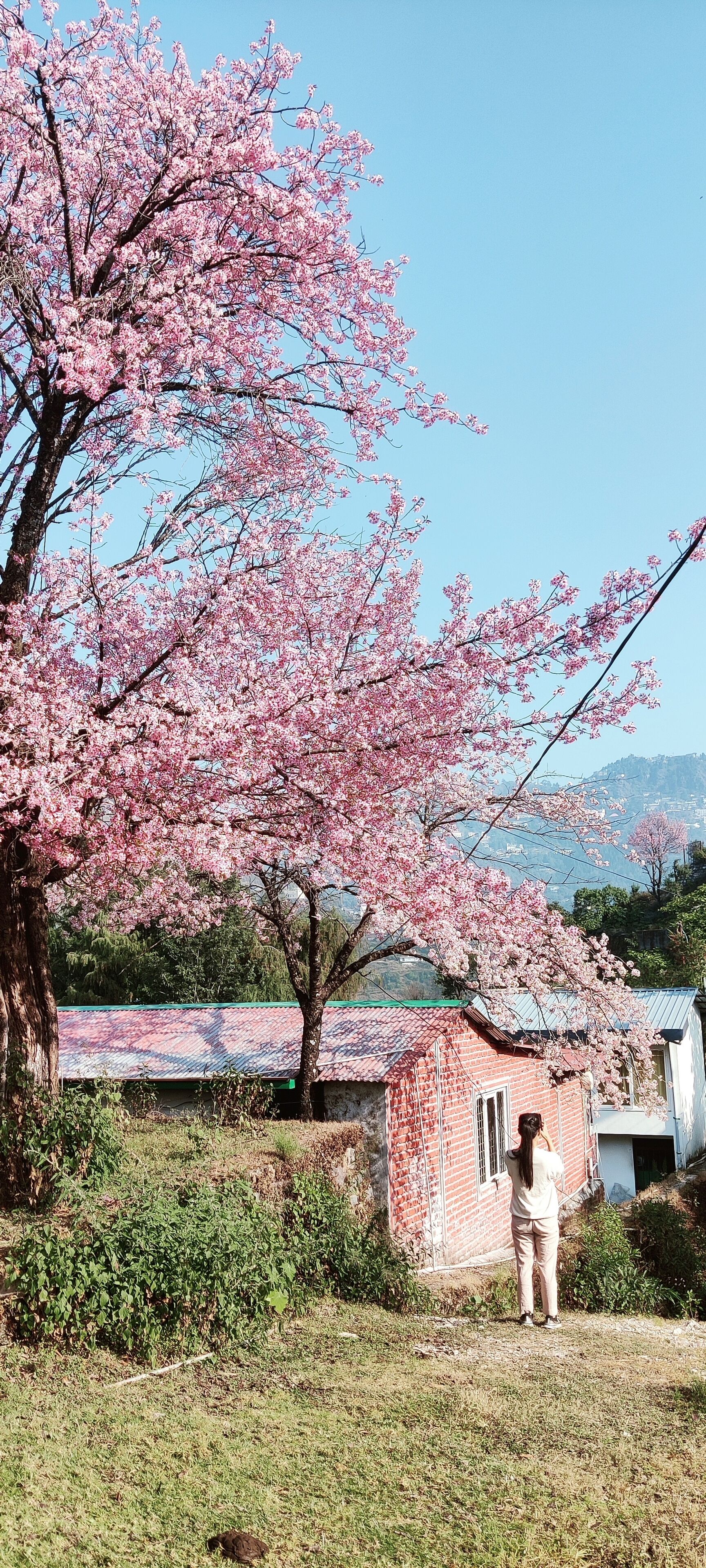 住宿景觀