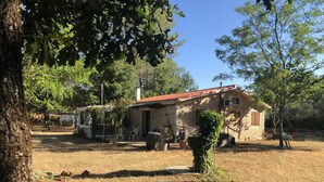 Una casa de piedra con techo de tejas rojas, rodeada de árboles y un jardín cubierto de césped.