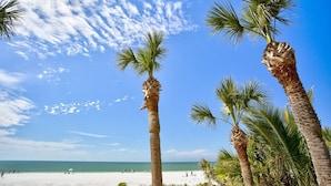 Una playa con palmeras y cielo despejado.
