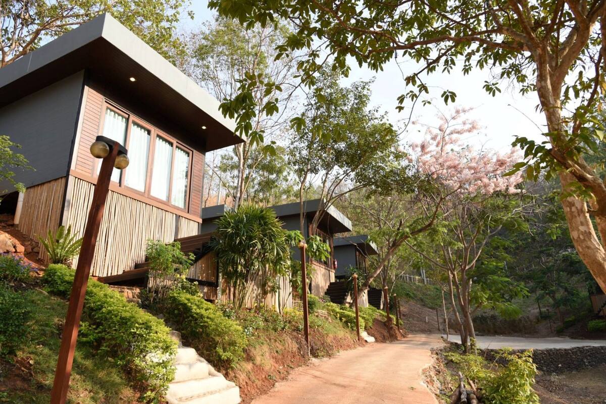A modern building with large windows and a wooden exterior, surrounded by lush greenery and a dirt path.