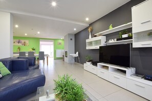 Smart TV, fireplace