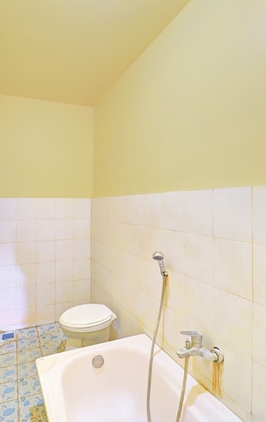 Shower, towels, toilet paper