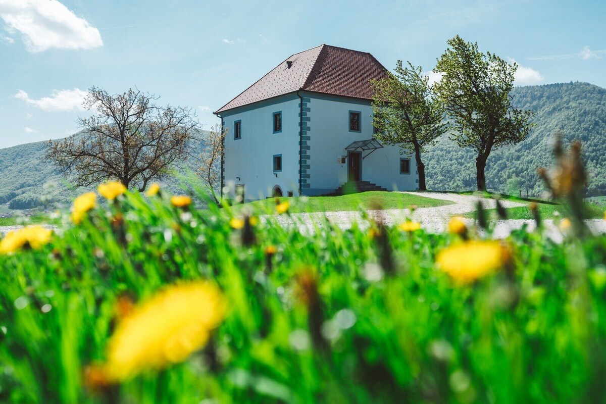 Bild für Gastgeberprofil