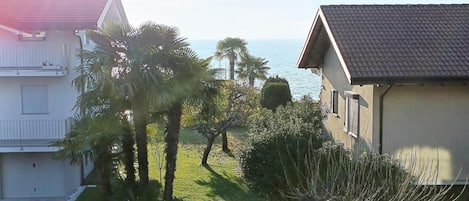 A residential area with a view of the sea, featuring houses with tiled roofs, a well-maintained lawn, and palm trees.