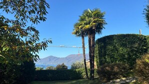 Un jardín bien cuidado con una palmera, setos ordenados y una vista despejada de montañas al fondo.