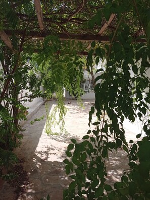 Property grounds - Beautiful colonial-style house a step away from the center of Aregua (Areguá)