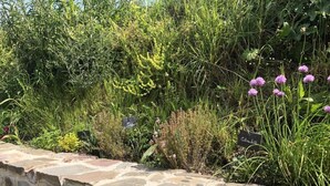 Un muro de piedra con un jardín lleno de plantas y flores.