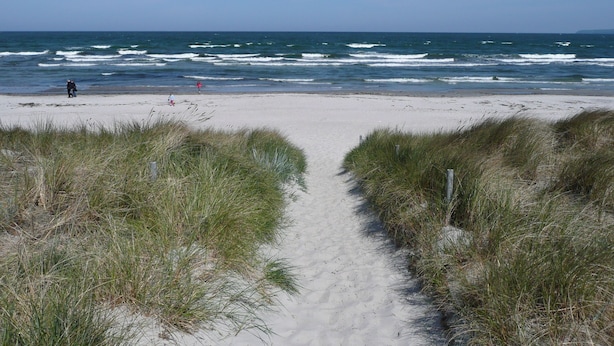 Strand