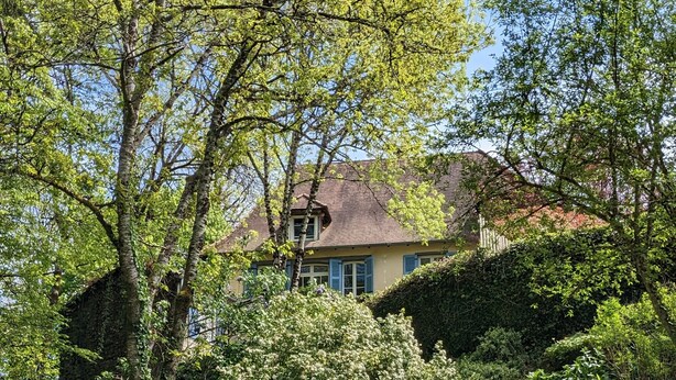 Een huis omringd door weelderige begroeiing, met een stenen trap die naar de ingang leidt.