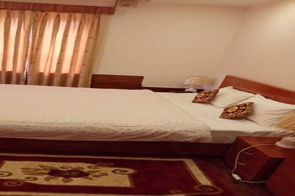 A neatly made bed with a white bedspread, a wooden headboard, and decorative pillows. There is a small table with a lamp and a potted plant beside the bed. The room has a wooden floor and a red carpet with a floral pattern.