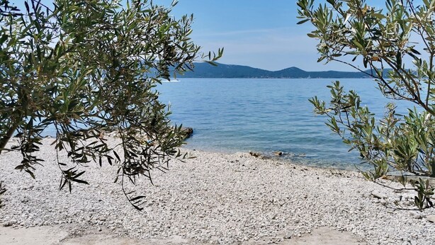 Una spiaggia con ciottoli, alberi di ulivo che incorniciano la vista di un mare tranquillo e montagne lontane.