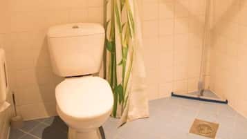 Baño con inodoro, ducha y escobilla.