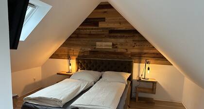 Modernes Ferienhaus / Chalet mit Waldblick in Dresden