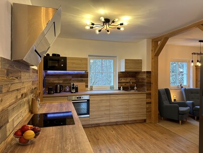 Modern vacation home / chalet with forest view in Dresden