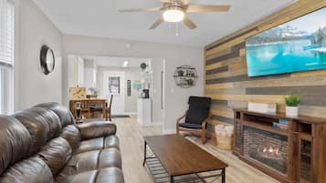 Smart TV, fireplace, books