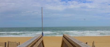 在海灘附近