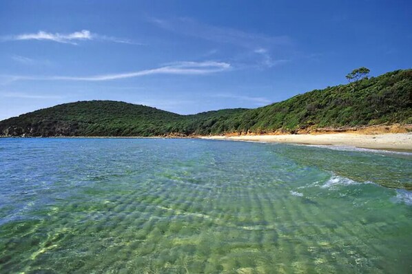 A beach with clear water, sandy shore, and green hills in the background.