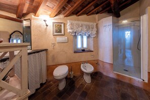 Shower, hair dryer, bidet, towels