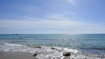 Playa en los alrededores y camastros